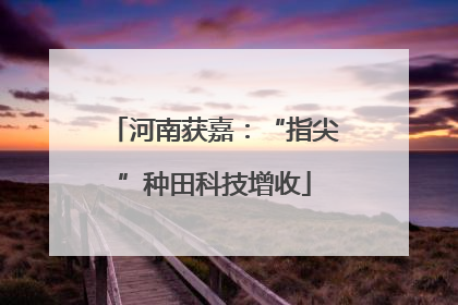 河南获嘉：“指尖”种田科技增收